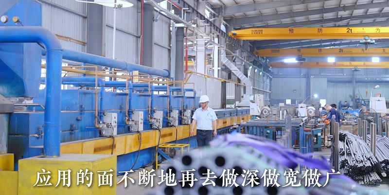 Subtilitas Ferro Tubuli sunt Spina of Modern Engineering